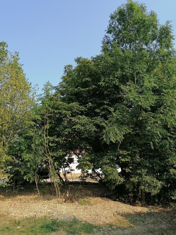 Camping Weides Kups ภายนอก รูปภาพ